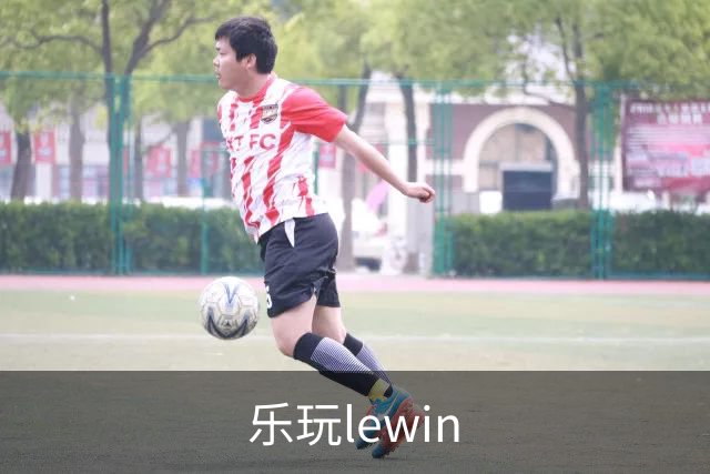 乐玩lewin公司形象图